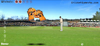 Test Catch Cricket Game Online