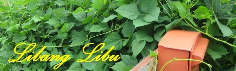 Libang Libu