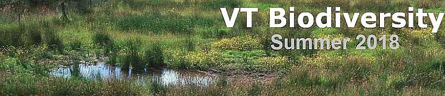 VT Biodiversity 2018