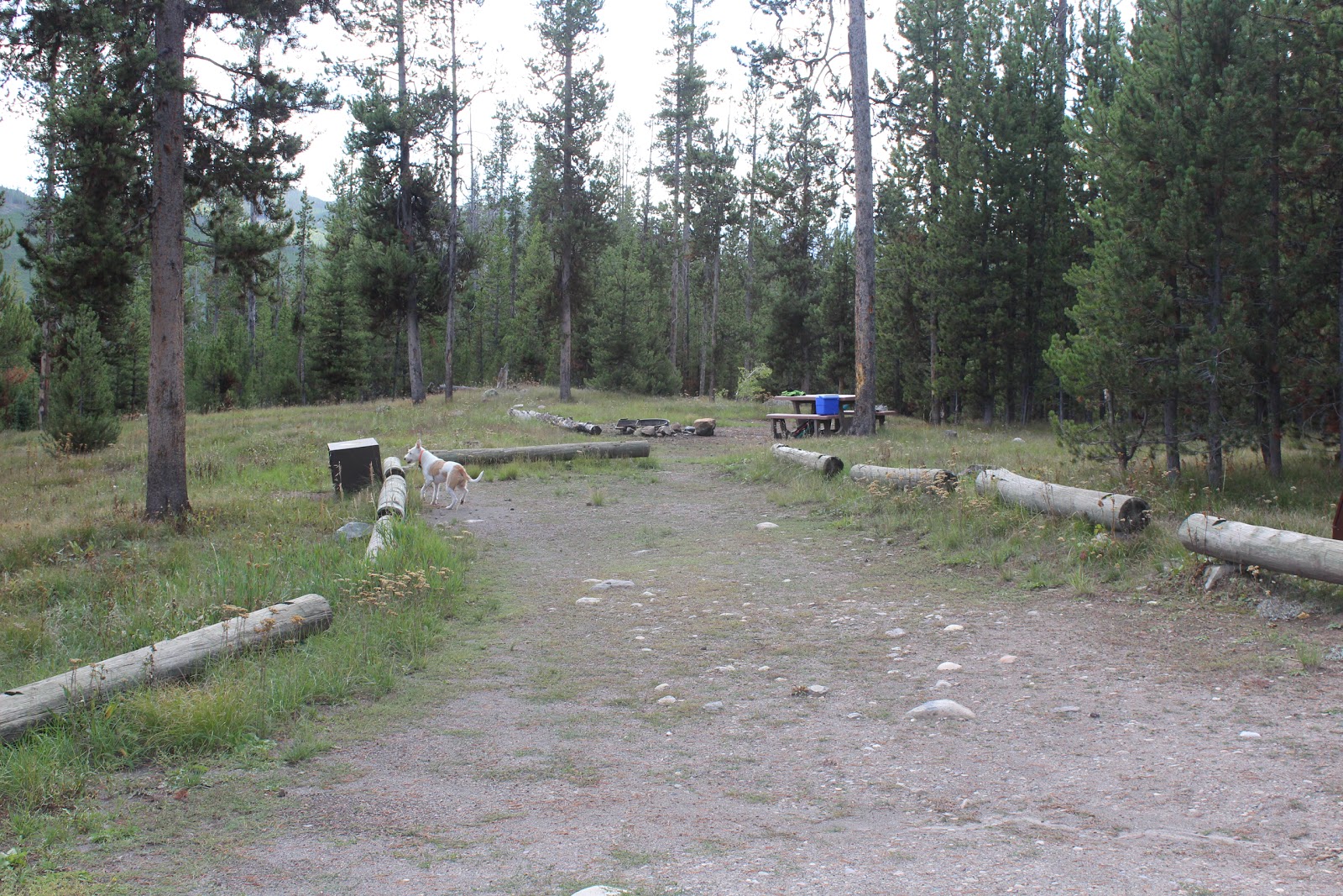 The Massey Family On the road again Camping along Grassy Lake Road in the John D. Rockefeller