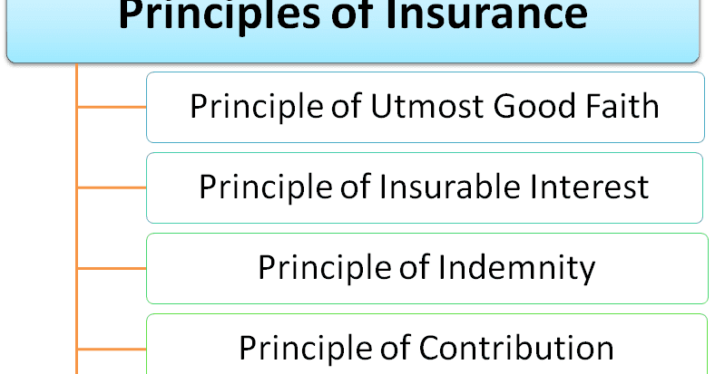 principle of utmost good faith There are seven basic principles of insurance, which include subrogation, insurable interest, contribution and utmost good faith in addition to indemnity. principle of utmost good faith There are seven basic principles of insurance, which include subrogation, insurable interest, contribution and utmost good faith in addition to indemnity.