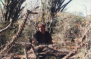 THE MADAGASCAN MAN-EATING TREE - MORE THAN JUST A MONSTROUS MYTH? 25