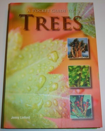 Learning Ideas - Grades K-8: Fun Tree Activities