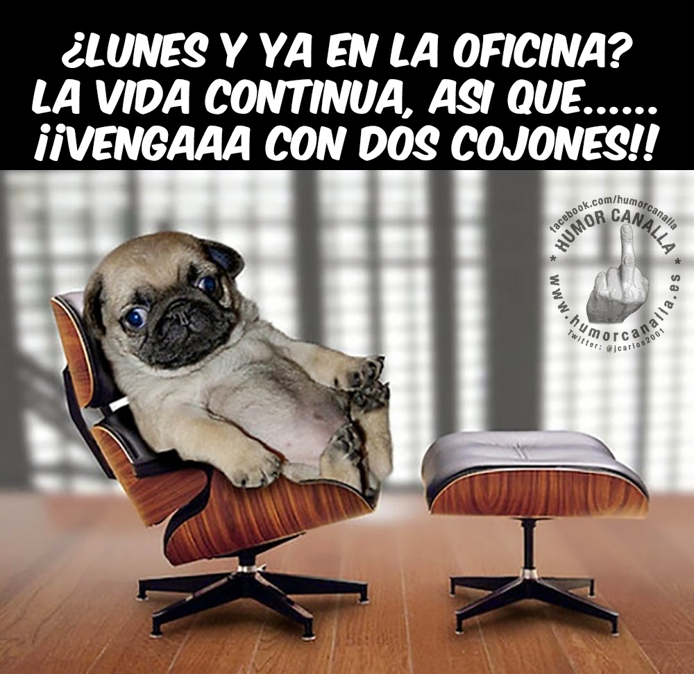 HUMOR CANALLA: ¿Lunes y ya en la oficina? (1362)