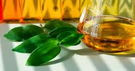 Food Technology: Different Enzymes and their Applications in Food Industry