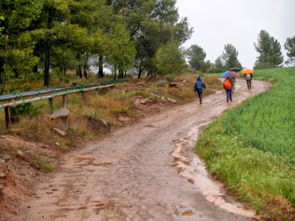 Les canonades de salmorra ens acompanyen en el nostre camí cap a la Sèquia de Manresa Les canonades de salmorra ens acompanyen en el nostre camí cap a la Sèquia de Manresa