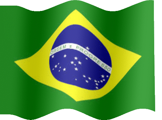 LINK na bandeira .Este grupo encontra-se no Brasil