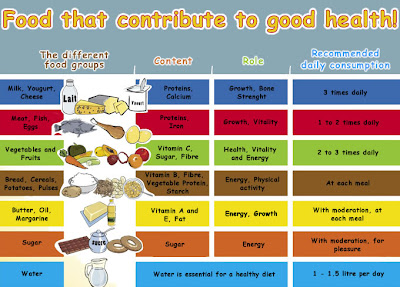 Daily Food Chart For Adults