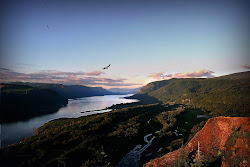 Soaring the Gorge