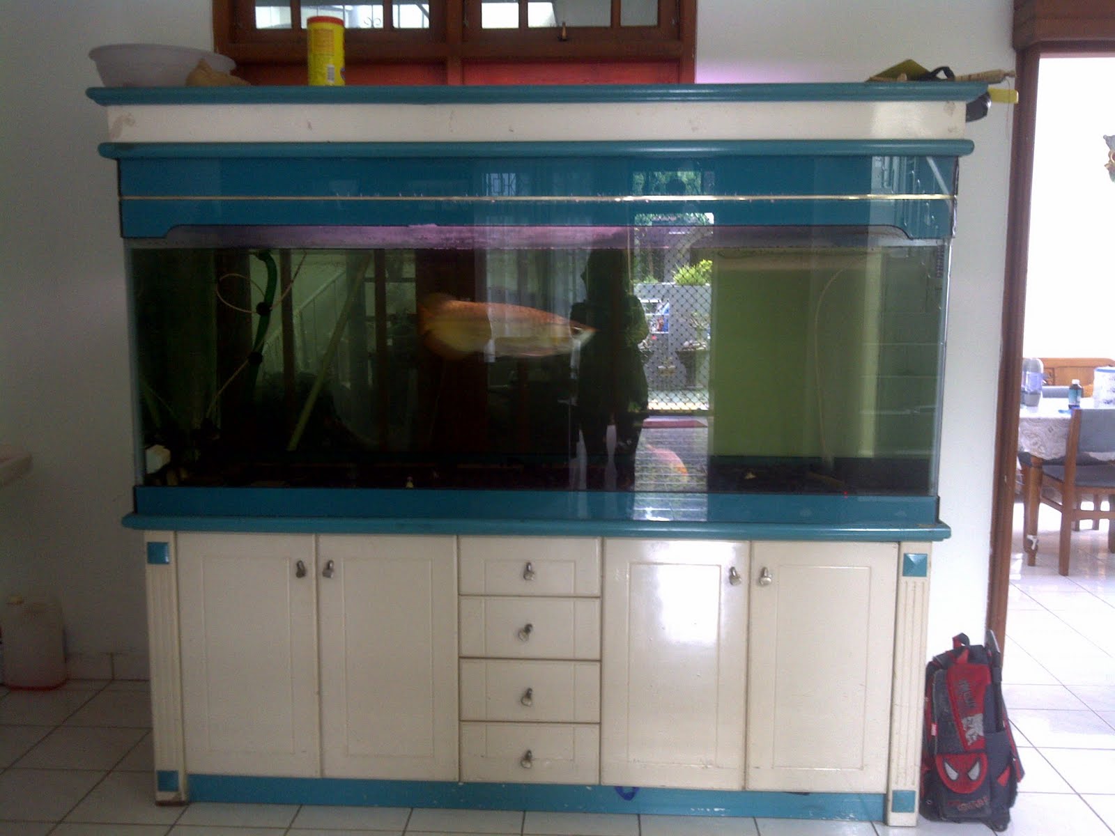 Aquarium Karantina / Hospital Tank Arowana's Blog