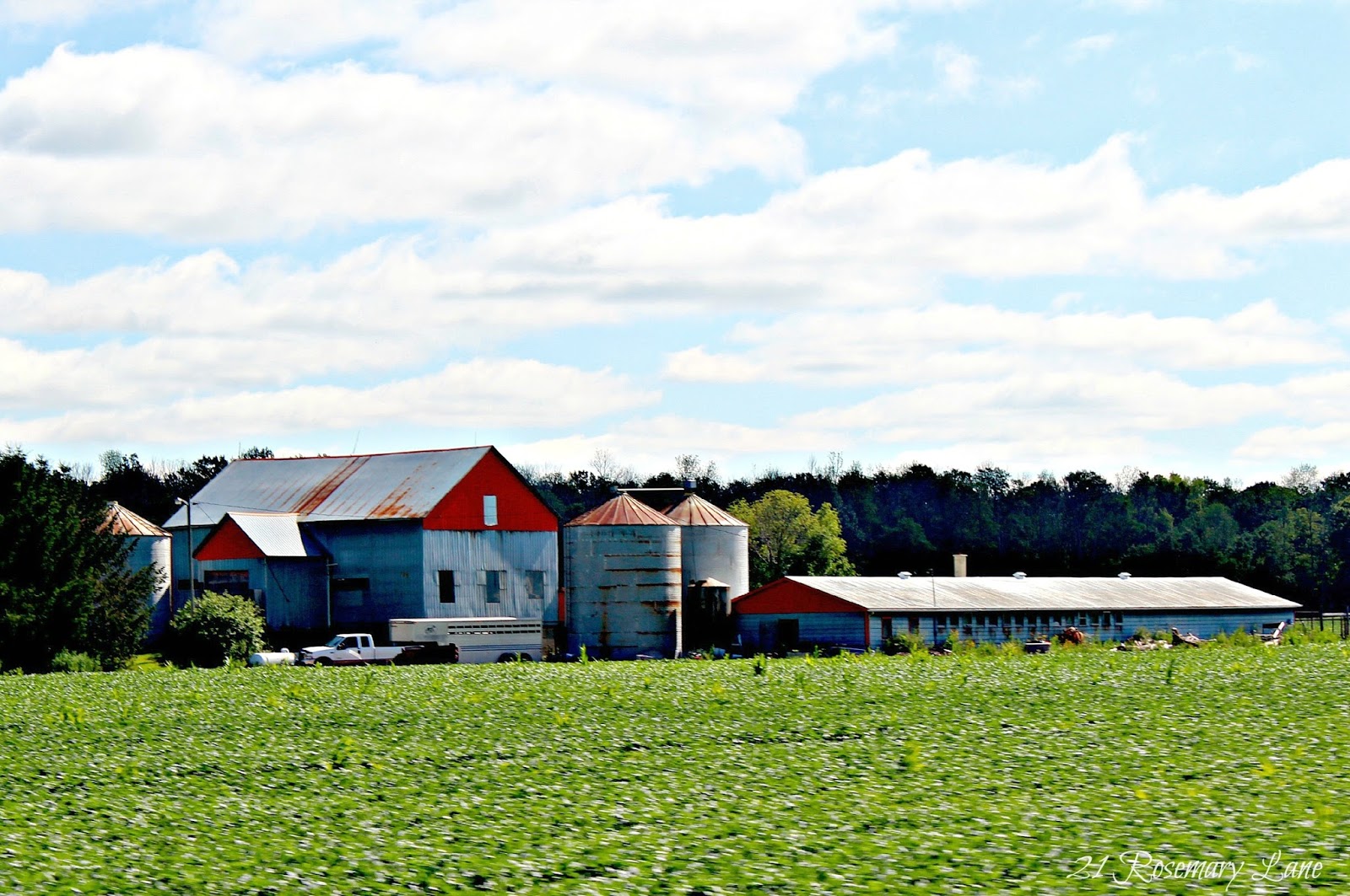 21 Rosemary Lane Images from the Side of the Road