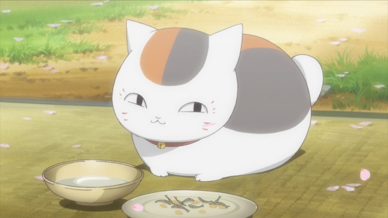 Natsume Cat Gif Natsume Cat Gif