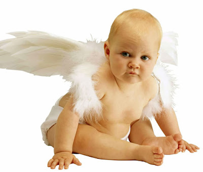 Angel Baby Picture Baby Picture
