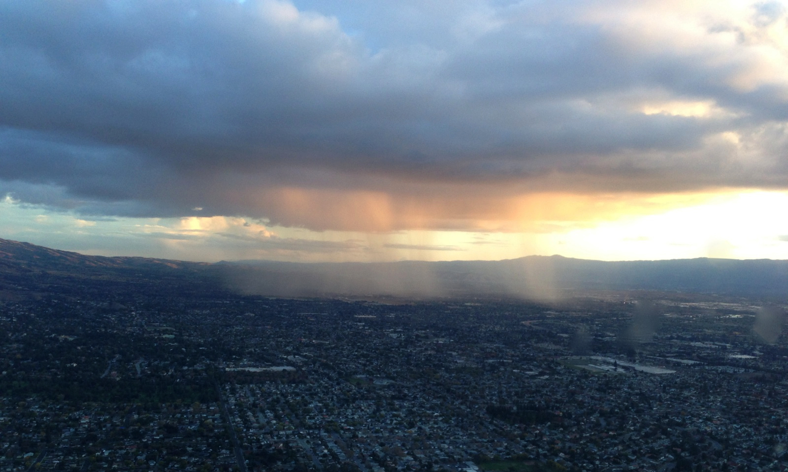 Awkward Bird Isolated Showers