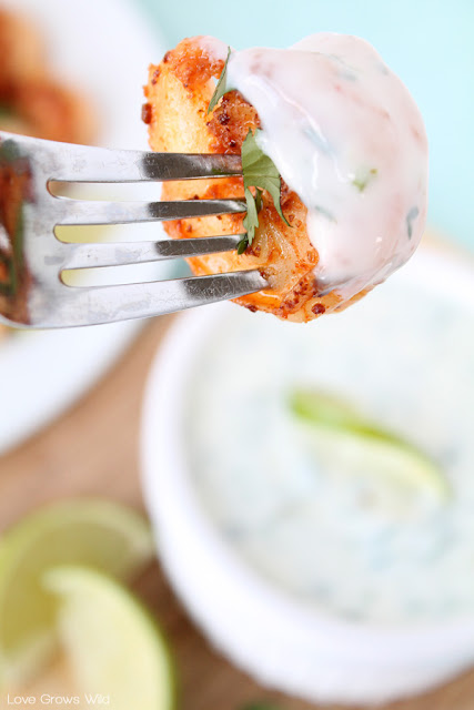 Spicy Cilantro Shrimp with Honey Lime Dipping Sauce - a flavorful, healthy meal you can have ready in under 10 minutes! You'll love the combination of spicy shrimp with the honey lime sauce! at LoveGrowsWild.com #shrimp #recipe #dinner