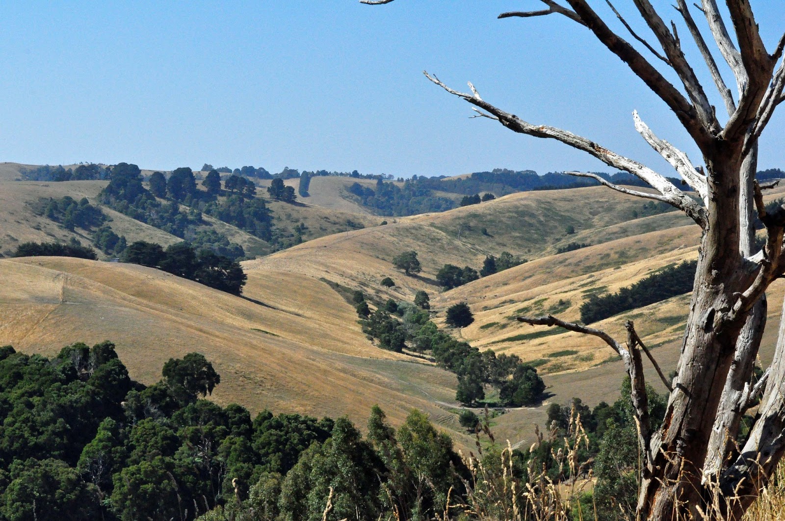 Playing in the Attic I love a sunburnt country