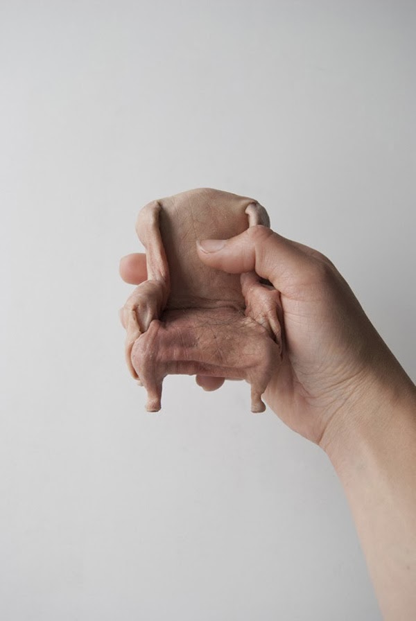 Sculpted Skin Furniture Spicytec