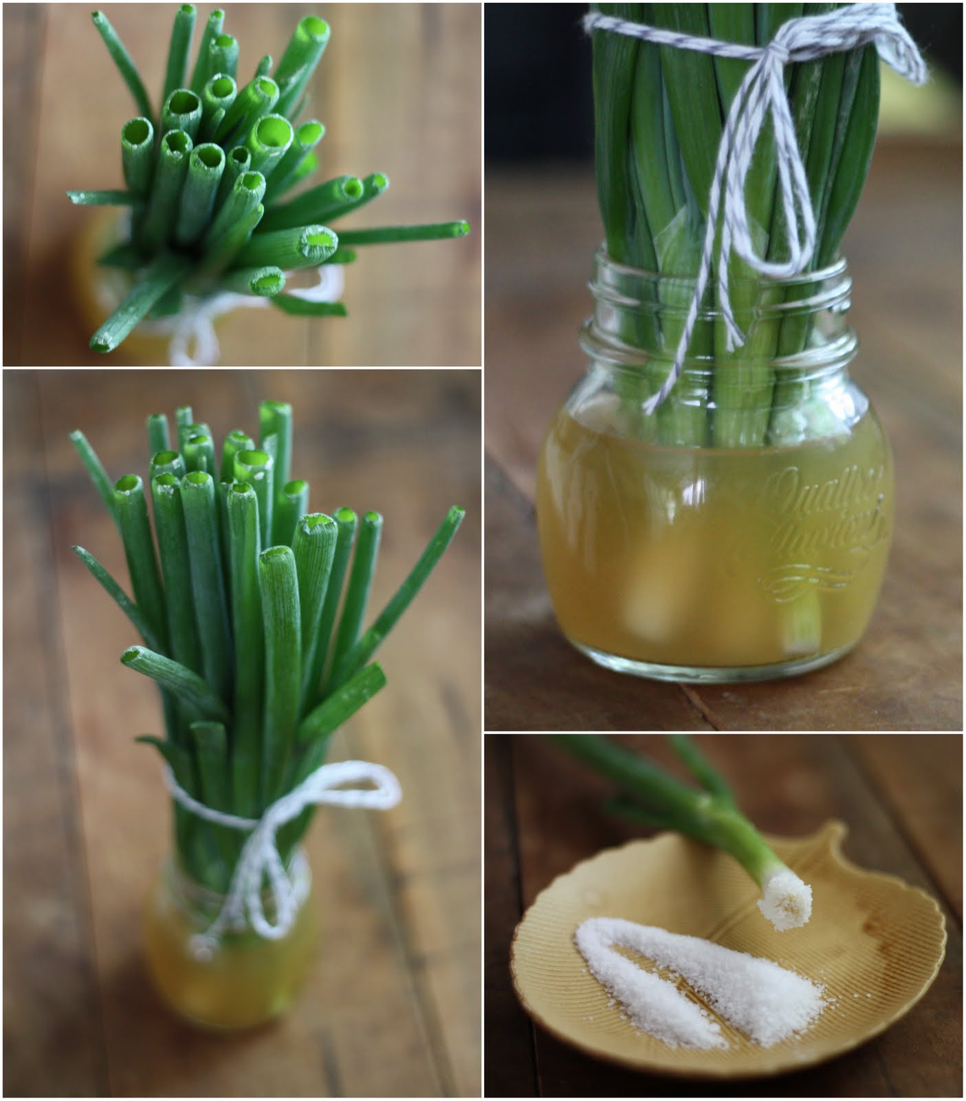 E.A.T. Scallions, Vinegar, and Salt...