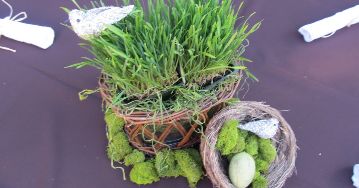 ME Catering Eco Friendly Baby Shower