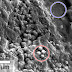 Scoperti nuovi indizi di vita marziana in un meteorite