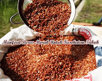Manfaat Beras Merah Untuk Kesehatan Tubuh Manfaat Beras Merah