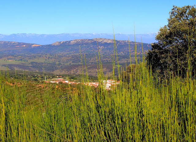 Vists desde el Puerto de Deleitosa