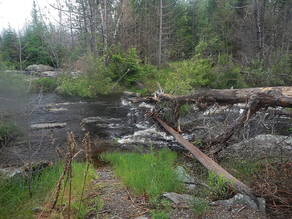 American Grouch Hiking the Boundary Waters Canoe Area Wilderness