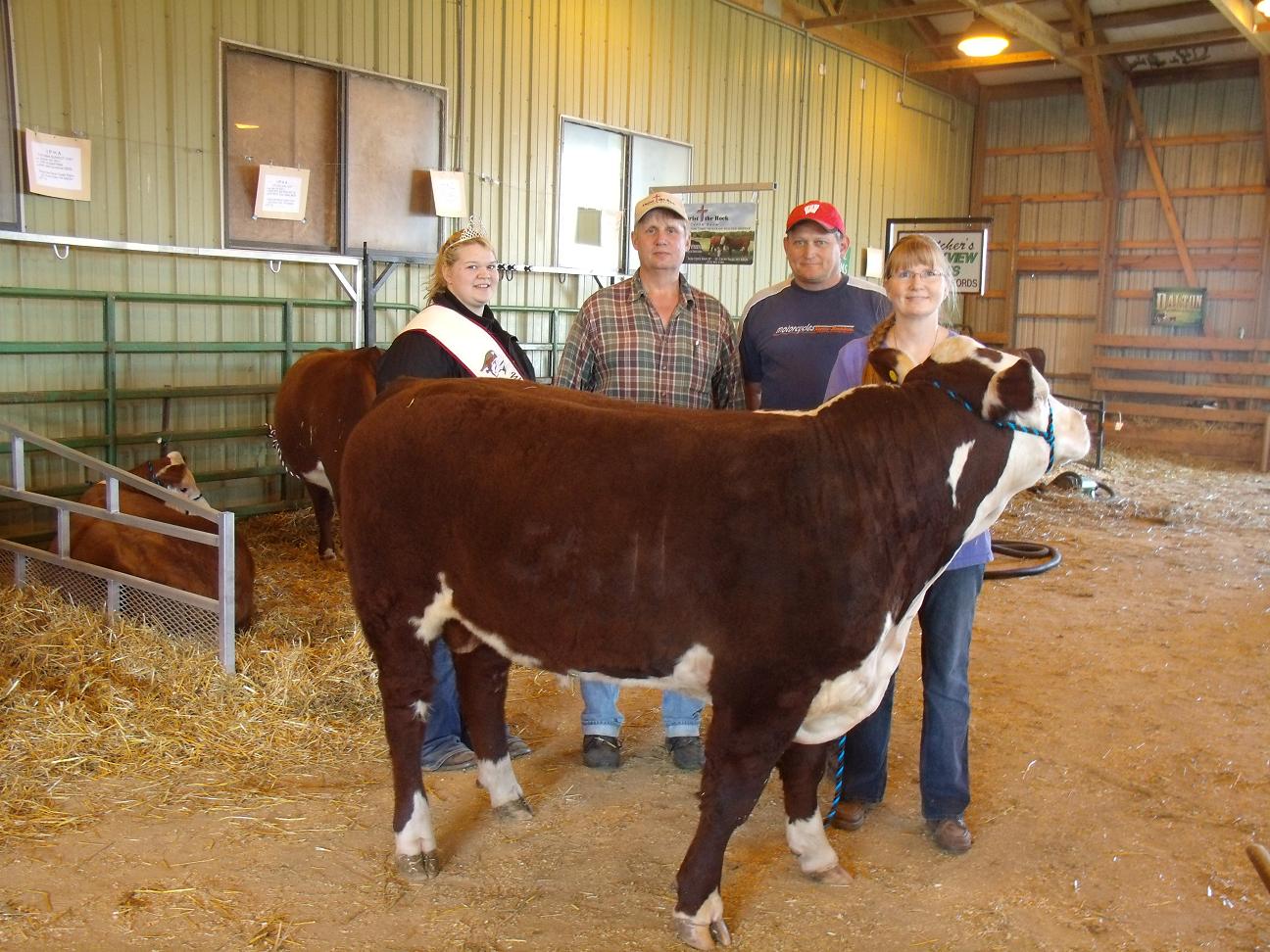 Indianhead Polled Hereford Association Featured Indianhead Polled