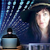 Protect computer systems from viruses and hacking ..