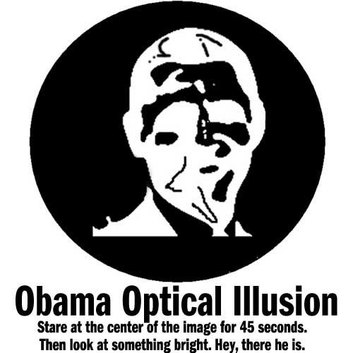 Celebrity Optical Illusions | Tattoos Fonts Ideas Designs Pictures