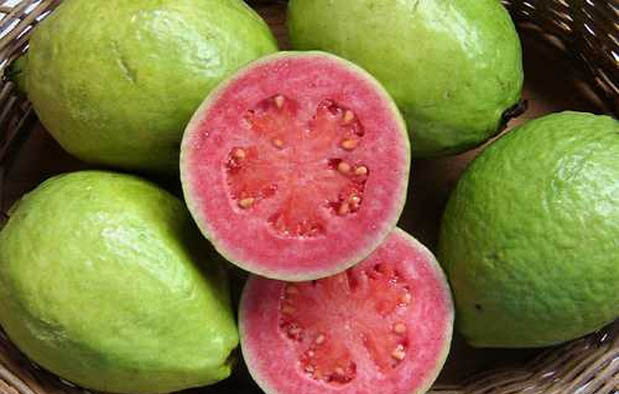 5 Obat Diare Untuk Ibu Hamil Pengalaman Pribadi Ibu Hamil