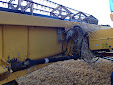 New Holland CX8060 Combine