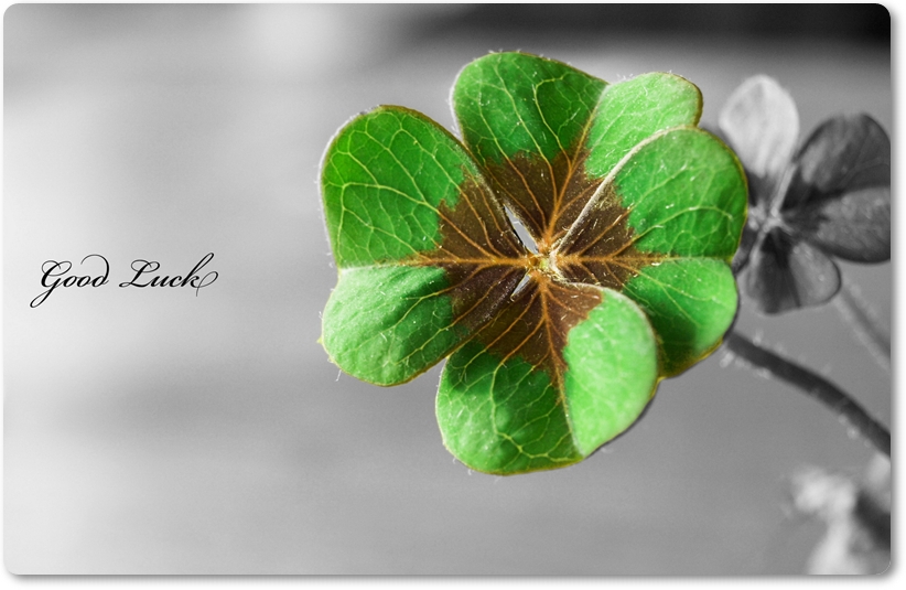 Pozitivnoto Hrana Za Dushata Legenda Za Chetirilistnata Detelina Simvol Na Vyara Nadezhda Lyubov Shastie I Ksmet