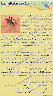 knowledge is power essay in urdu knowledge is power essay in urdu