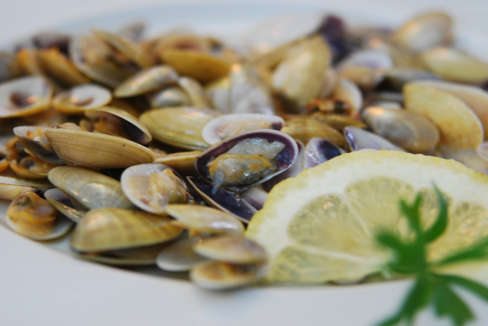 Type Of Clams