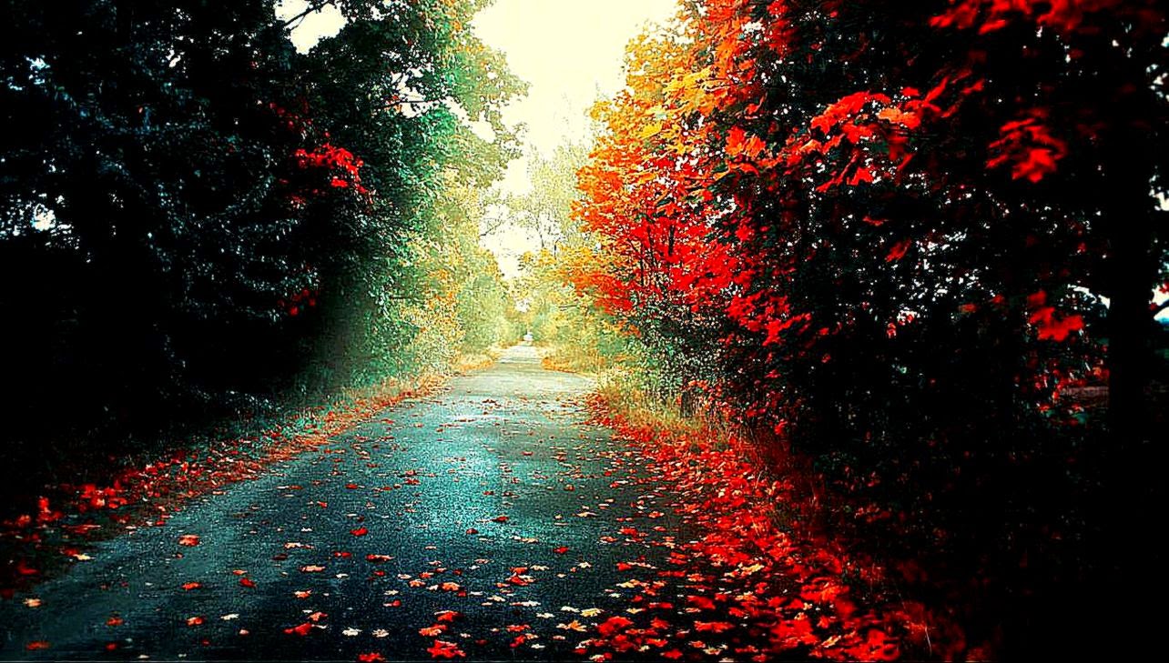 Wallpaper HD 2 Wallpaper HD 2