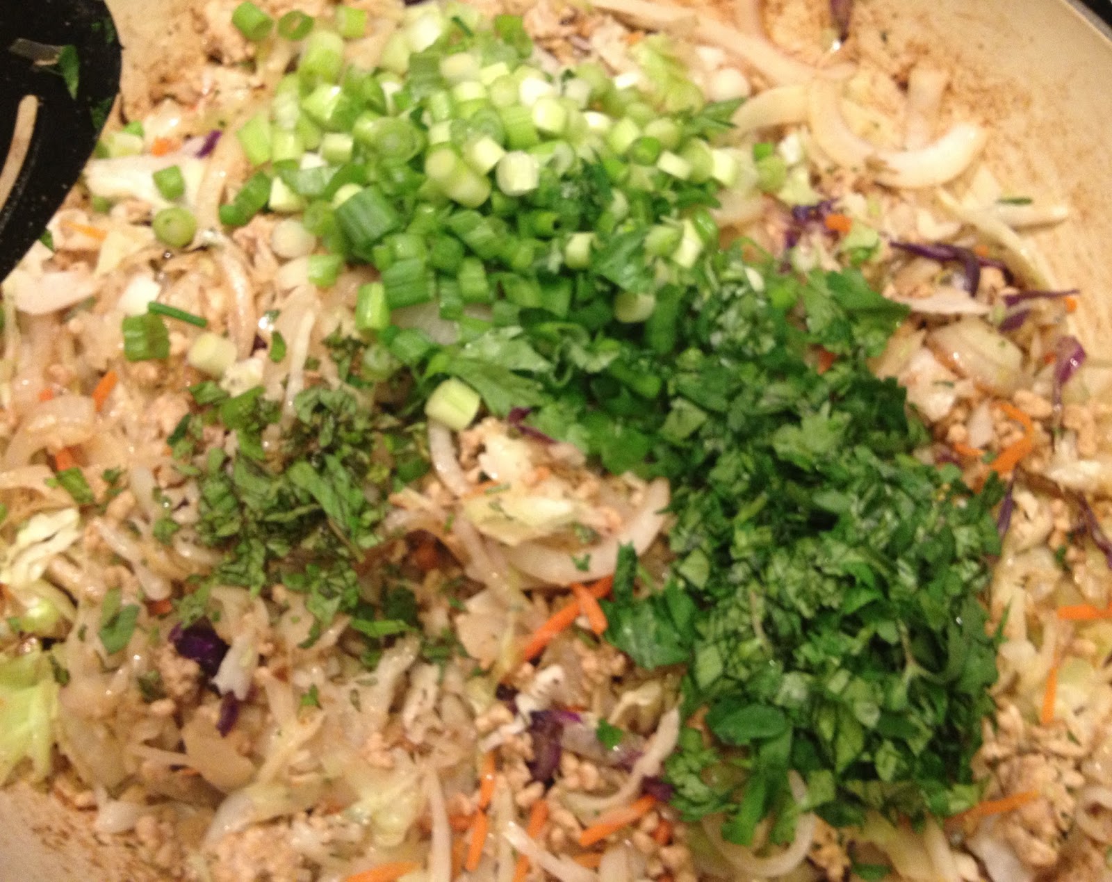 The Paleo Review Stir Fried Pork with Cabbage Noodles from Meatified