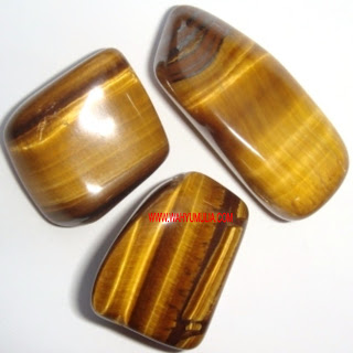 ARTIKEL TIGER EYE/BIDURI SEPAH