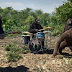 Com macacos e muita dança, Coldplay lança clipe diferente (e muito bom) para "Adventure of a Lifetime"