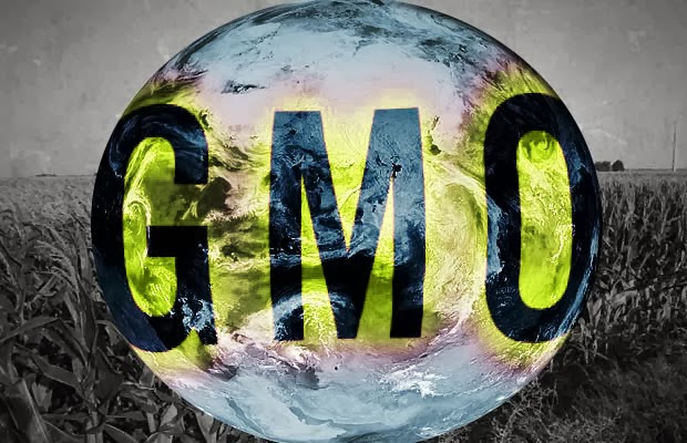 Food Lobby Threatens To Sue Any State That Tries To Label GMOs