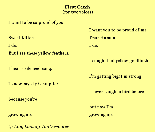 The Poem Farm First Catch A Poem for Two Voices