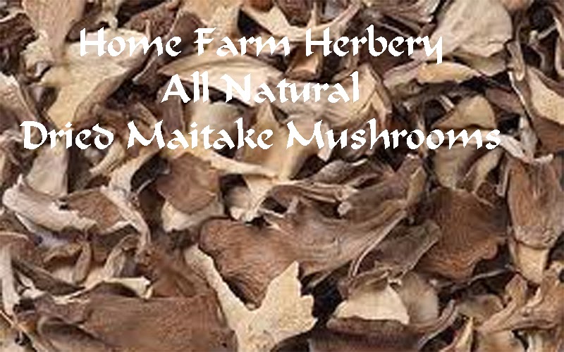Maitake Dried Mushrooms are All Natural, good keepers and easy to