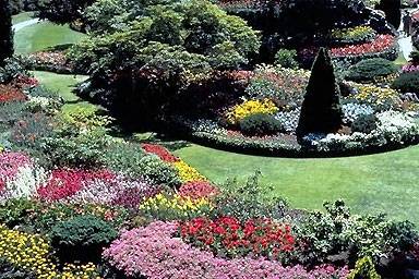 flowers for flower lovers.: flowers gardens.
