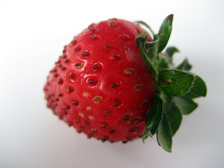 Closeup overhead of a single strawberry on white background.