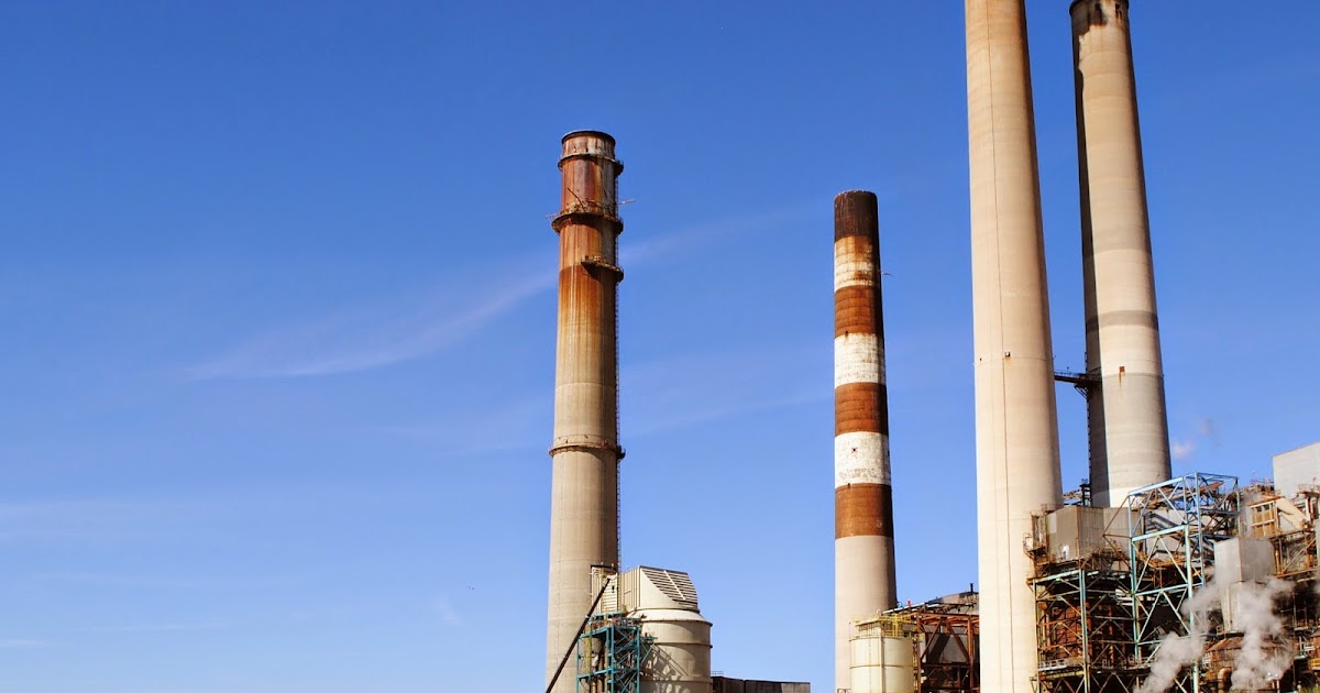 The Carpetbagger: TECO Power Plant Manatees