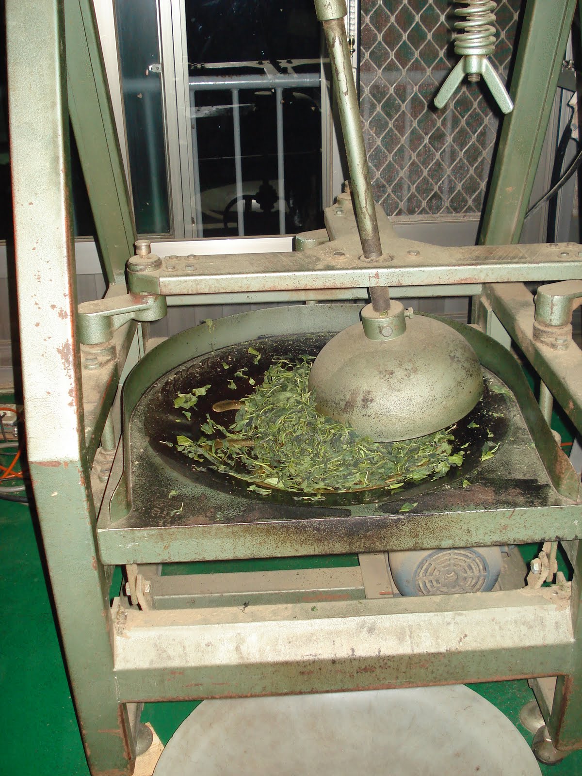 Floating Leaves Tea The Basic Taiwanese Oolong Making Process Part III