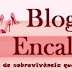 Conheça a história do Blog da Encalhada