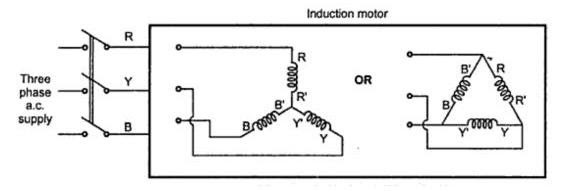 Three Phase Induction Motor | your electrical home