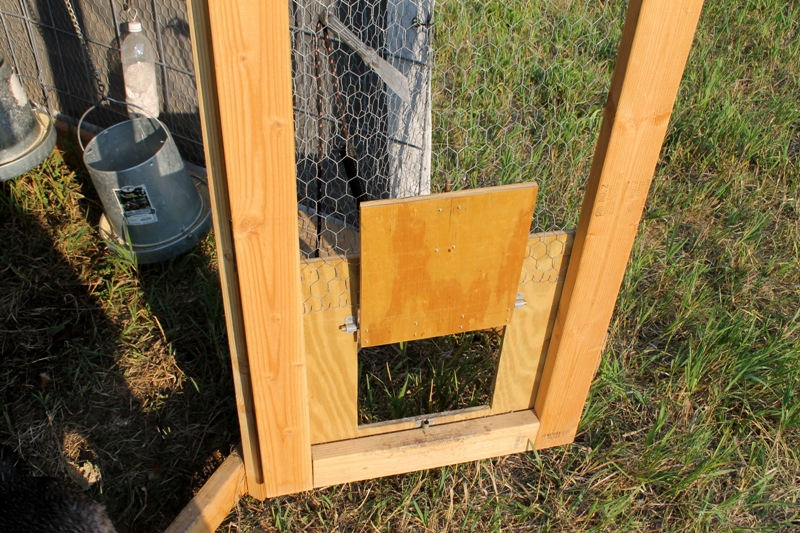 How To Move Chickens Gypsy Farmgirl