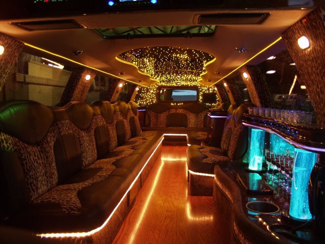 Nyc night bus tour Wonder Travel Inc. is a tour operator and travel agency located in Montreal Quebec Canada. Wonder Travel is well known for organizing bus tours all over Canada and USA such as Quebec city, Toronto, Niagara falls, Ottawa,New York, Boston, Washington DC.